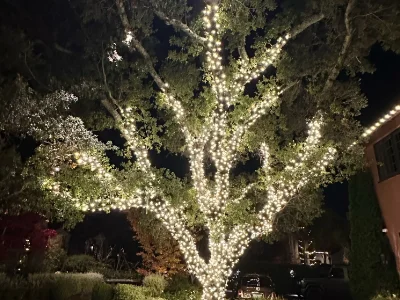 Call Santa's Lighting Experts for your lighting service in Menlo Park