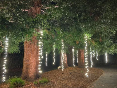 Call Santa's Lighting Experts for your lighting service in Menlo Park